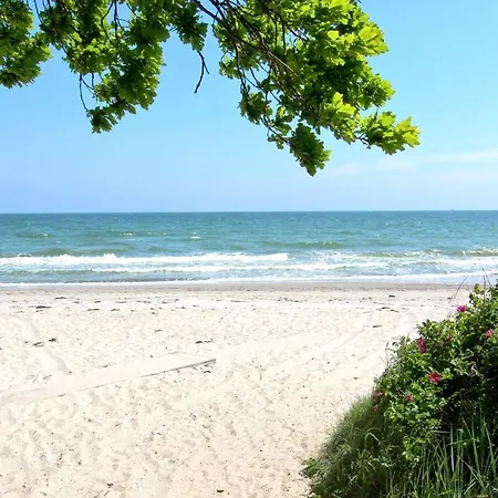 Apartment Strandnahe Mit Balkon, Gratis Nutzung Vom Ahoi Erlebnisbad Und Sauna In Sellin - Rex Rugia 29-6 *